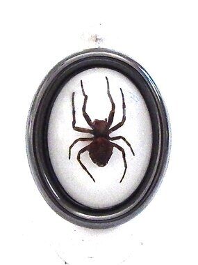 GASOLINE GLAMOUR GHOST SPIDER RING 🕷️🕸️👻